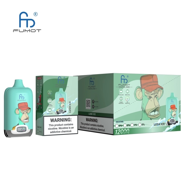 Wegwerp E-sigaret RANDM Digital Box 12000 Puffs