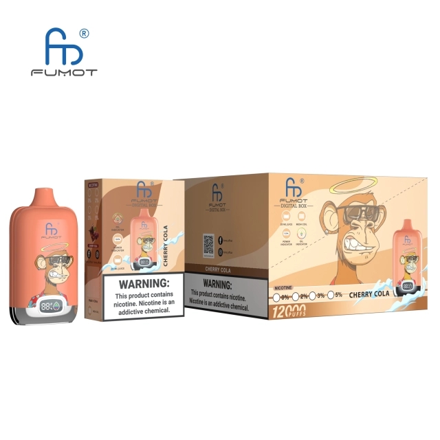 Wegwerp E-sigaret RANDM Digital Box 12000 Puffs