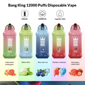 Wegwerp E-sigaret Bang King 12000 Puffs