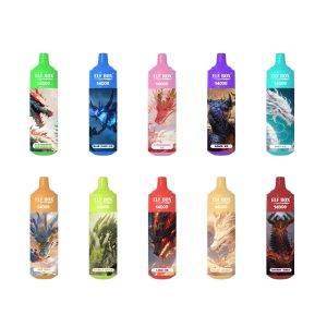Wegwerp E-sigaret ELF BOX 12000 Puffs Vape