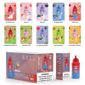Wegwerp E-sigaret ELF BOX 14000 Puffs Vape