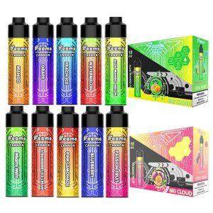 Wegwerp E-sigaret Feemo Cannon 10000 Puffs Vape (Europese voorraad)