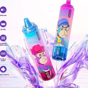 Wegwerp E-sigaret RandM Tornado 15000 Puffs Vape