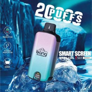 Wegwerp E-sigaret Bang 20000 Puffs Vape