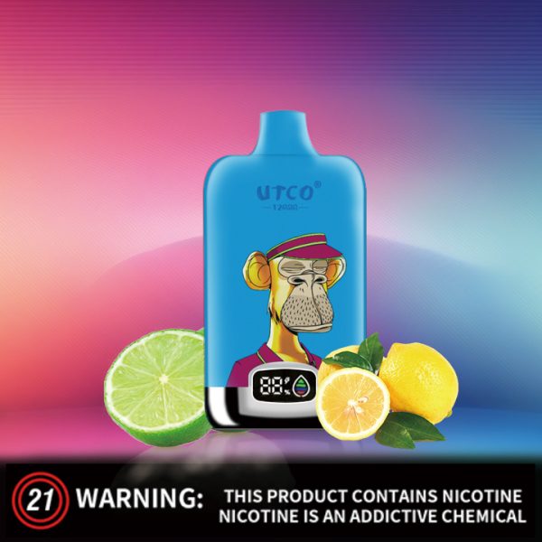 Wegwerp E-sigaret UTCO Digital Box 12000 Puffs Vape