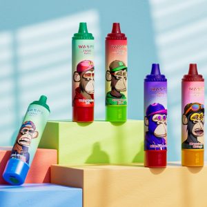 Wegwerp E-sigaret WASPE 15000 Puffs Vape