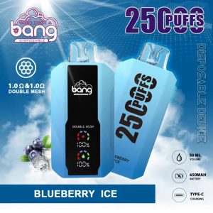 Wegwerp E-sigaret Bang 25000 Puffs Vape