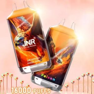 Wegwerp E-sigaret JNR Falcon 16000 Puffs Vape
