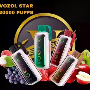 Wegwerp E-sigaret Vozol Star 20000 Puffs Vape
