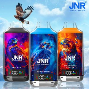 Wegwerp E Sigaret JNR Falcon X 18000 Puffs Vape
