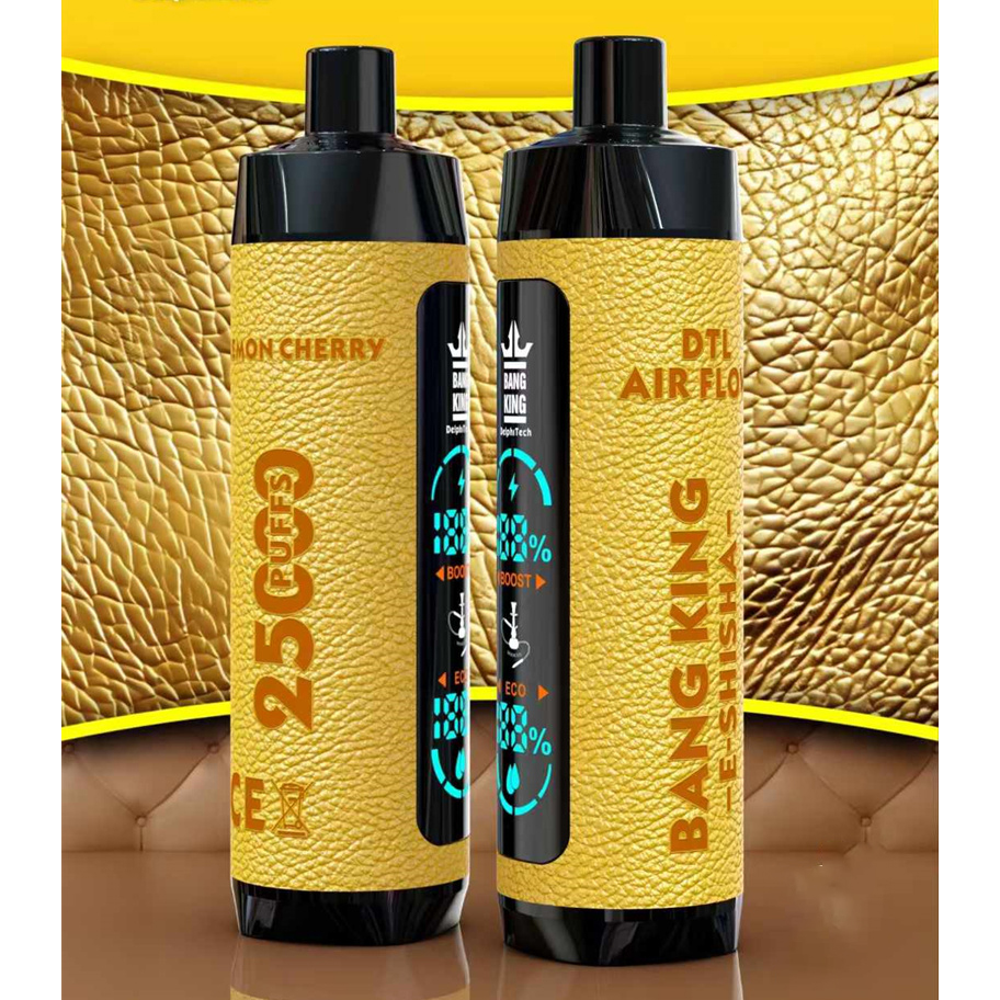 Wegwerp E Sigaret Bang King Shisha 25000 Puffs Vape