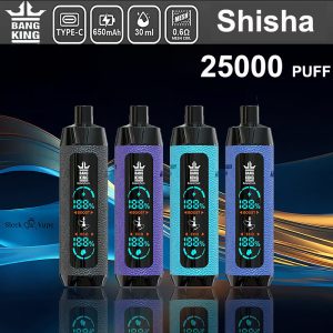 Wegwerp E Sigaret Bang King Shisha 25000 Puffs Vape