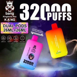 Wegwerp E Sigaret Bang Kingdoms Rex 32000 Puffs Vape Dubbele Smaak