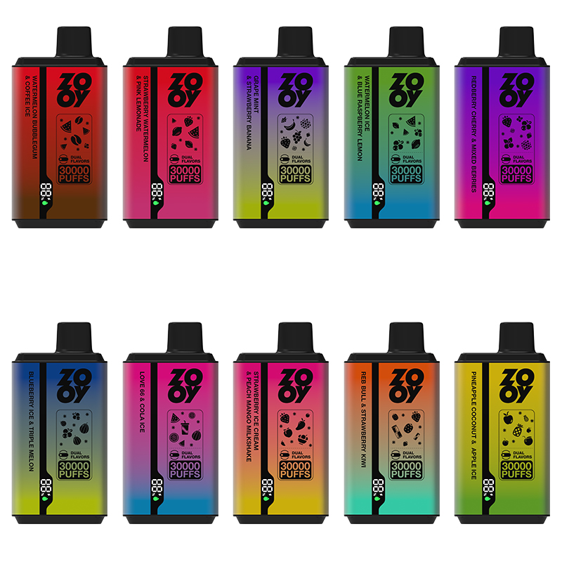 Wegwerp E Sigaret ZOOY Twins 30000 Puffs Vape Dubbele Smaak
