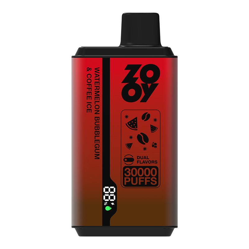 Wegwerp E Sigaret ZOOY Twins 30000 Puffs Vape Dubbele Smaak
