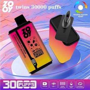 Wegwerp E Sigaret ZOOY Twins 30000 Puffs Vape Dubbele Smaak