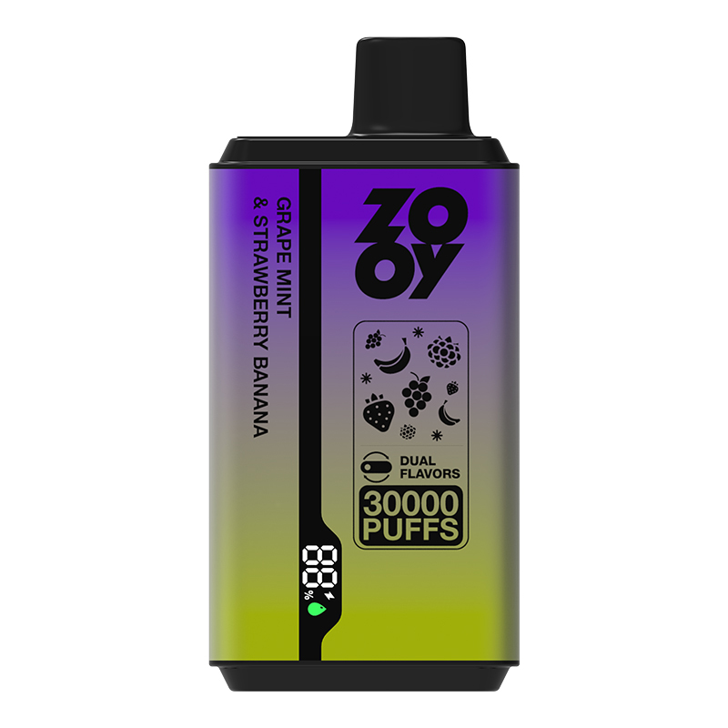Wegwerp E Sigaret ZOOY Twins 30000 Puffs Vape Dubbele Smaak