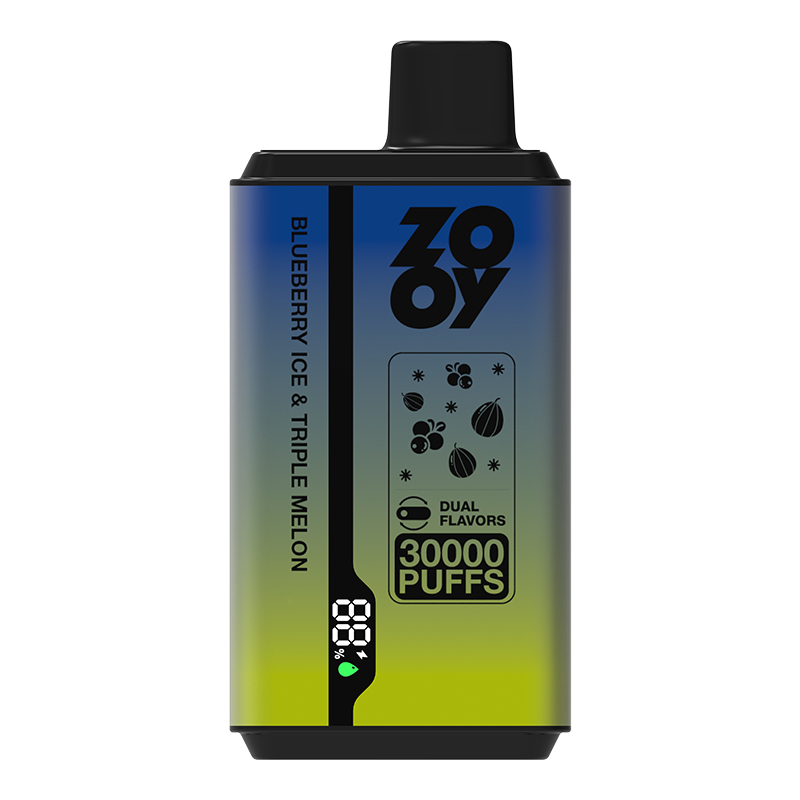 Wegwerp E Sigaret ZOOY Twins 30000 Puffs Vape Dubbele Smaak