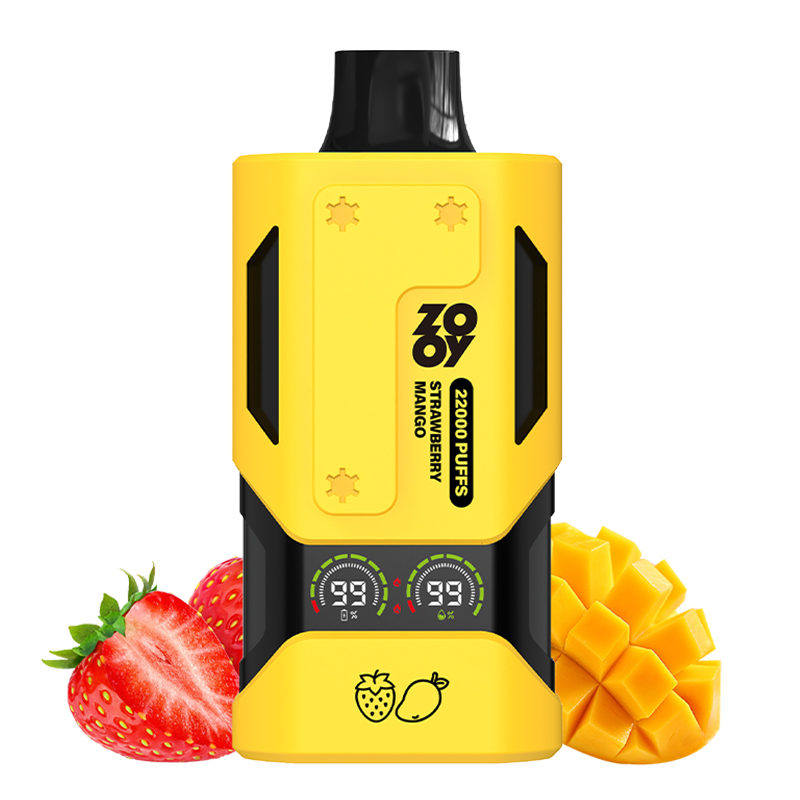 Wegwerp E Sigaret ZOOY Vapor 22000 Puffs Vape
