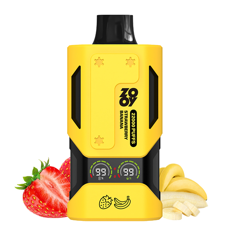 Wegwerp E Sigaret ZOOY Vapor 22000 Puffs Vape