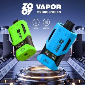 Wegwerp E Sigaret ZOOY Vapor 22000 Puffs Vape