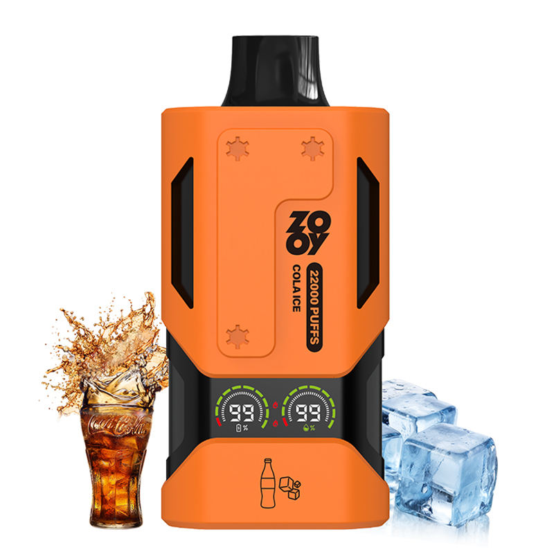 Wegwerp E Sigaret ZOOY Vapor 22000 Puffs Vape