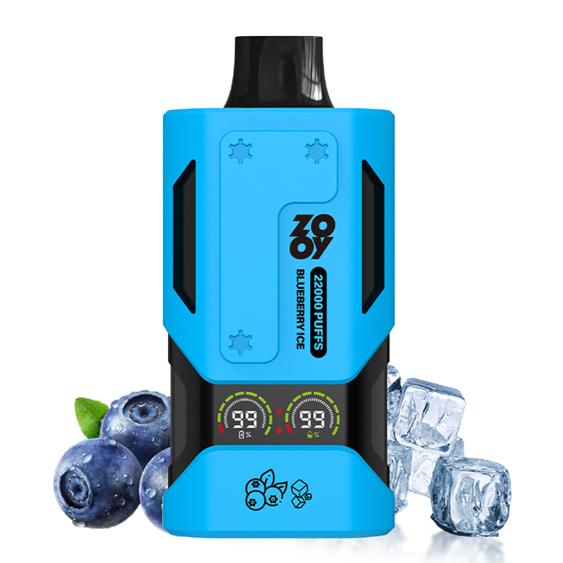 Wegwerp E Sigaret ZOOY Vapor 22000 Puffs Vape