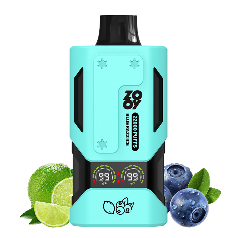 Wegwerp E Sigaret ZOOY Vapor 22000 Puffs Vape