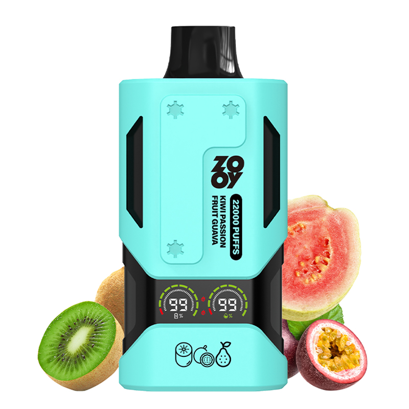 Wegwerp E Sigaret ZOOY Vapor 22000 Puffs Vape