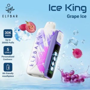 Wegwerp E Sigaret Elf Bar Ice King 30000 Puffs Vape