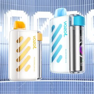 Wegwerp E Sigaret Vozol Vista 40000 Puffs Vape