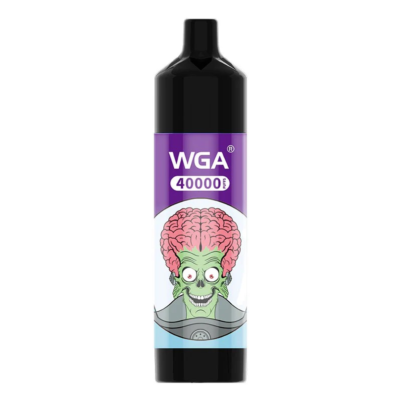 Wegwerp E Sigaret WGA 40000 Puffs Vape