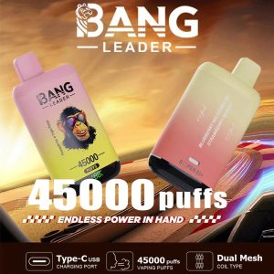 Wegwerp E Sigaret Bang Leader 45000 Puffs Vape Dubbele Smaak