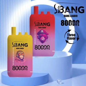 Wegwerp E Sigaret Bang Leader 80000 Puffs 3 in 1 Vape