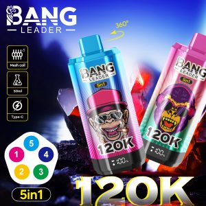 Wegwerp E Sigaret Bang Leader 120000 Puffs 5 in 1 Vape