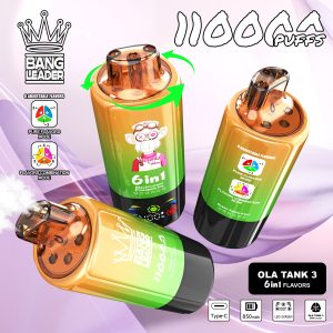 Wegwerp E Sigaret Bang Leader 110000 Puffs 6 in 1 Vape