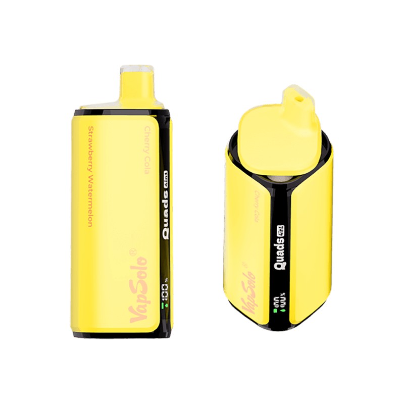 Wegwerp E Sigaret Vapsolo Quads 80000 Puffs 4 in 1 Vape