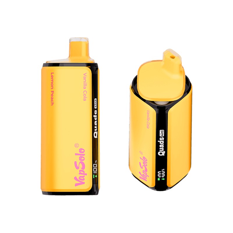Wegwerp E Sigaret Vapsolo Quads 80000 Puffs 4 in 1 Vape