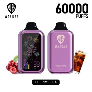 Wegwerp E Sigaret Wasbar 60000 Puffs Vape