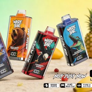 Wegwerp E Sigaret Waspe Bar 60K Puffs Vape