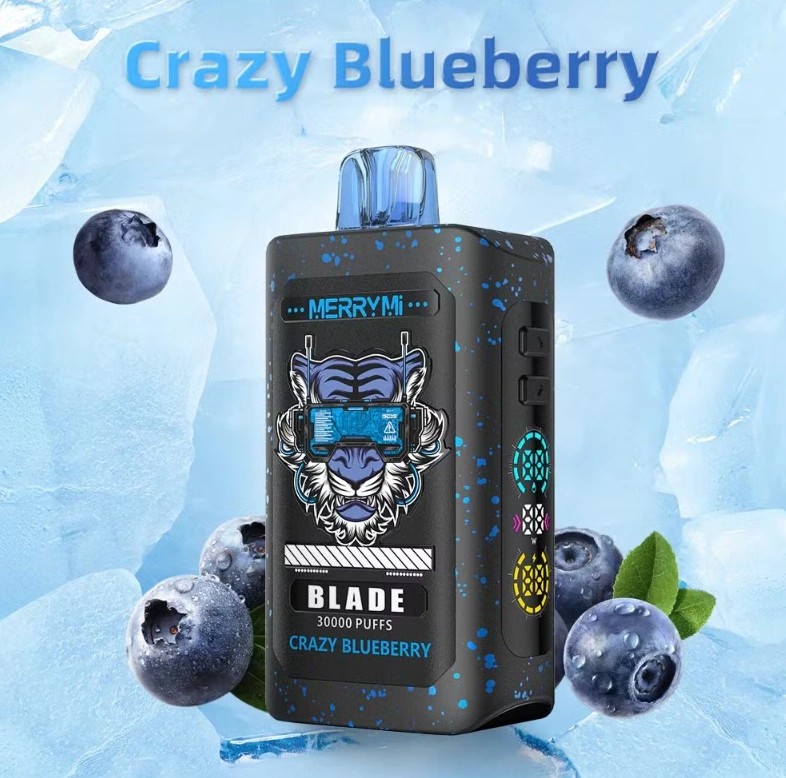Wegwerp E Sigaret Merrymi Blade 30000 Puffs Vape